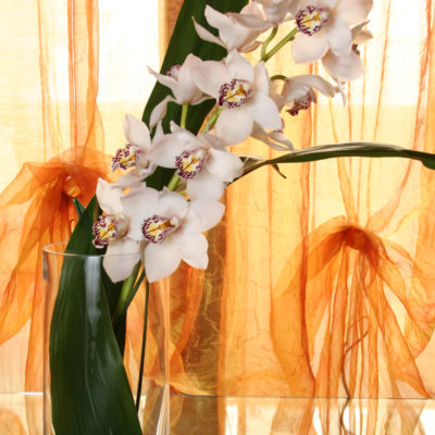 ramo d'orchidea cymbidium bianca + baci.vecchiojpg
