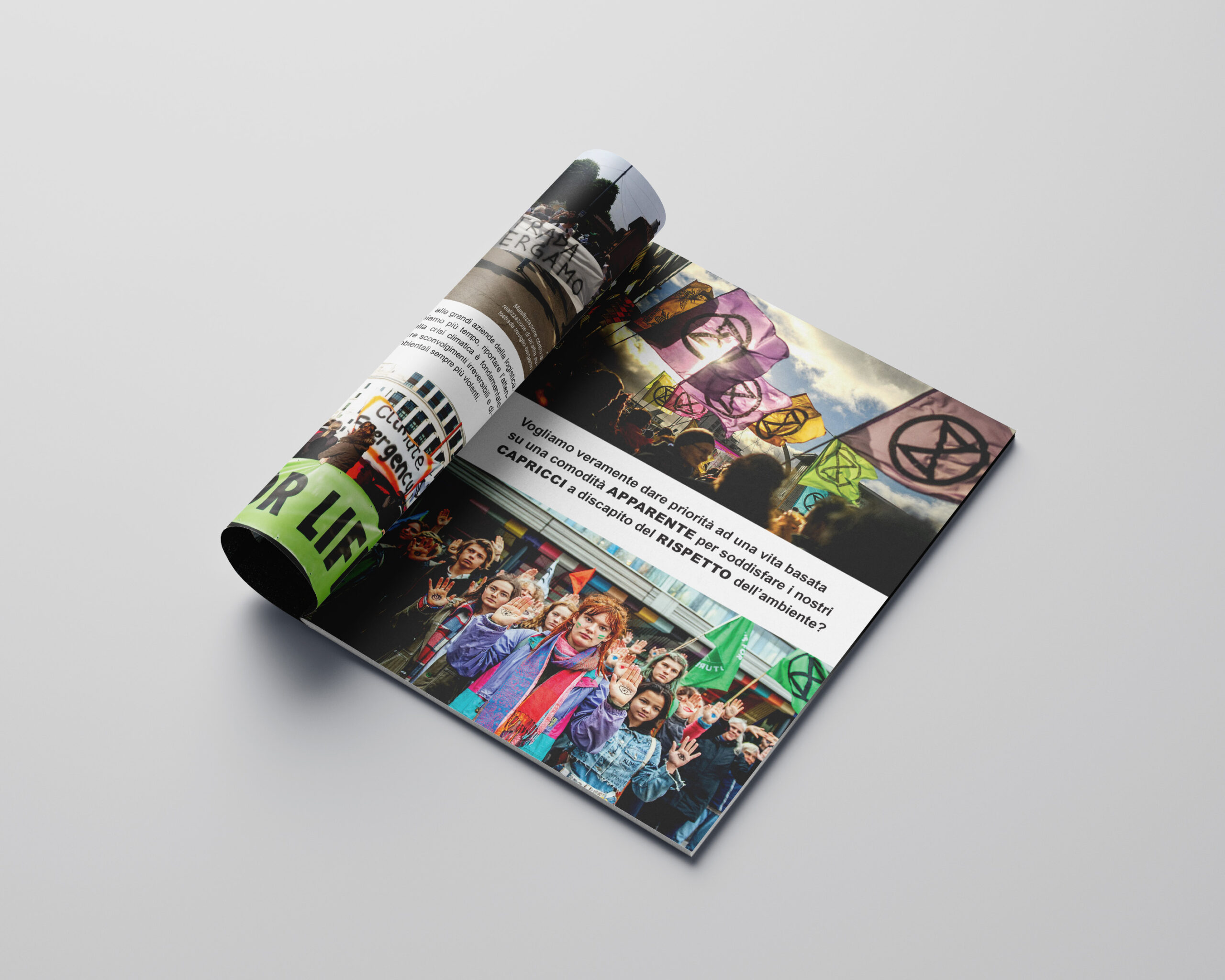 mockup4